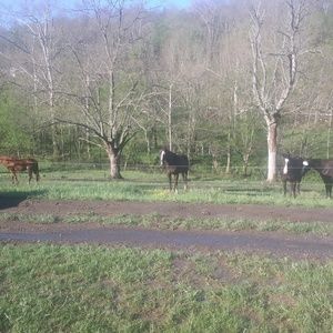 Meet your Posher, Jill